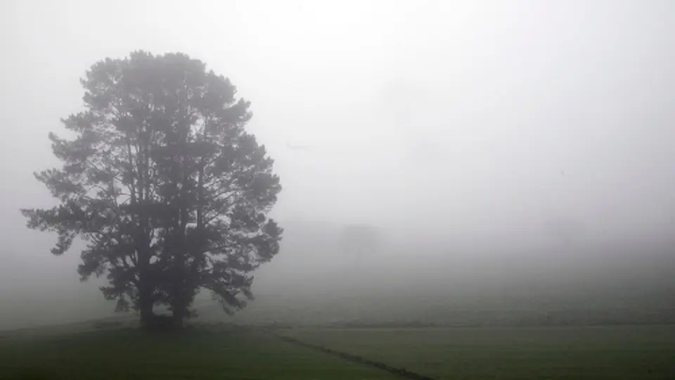 Paisaxe con néboa en Boimorto, A Coruña. Pepe Ferrín/AGN