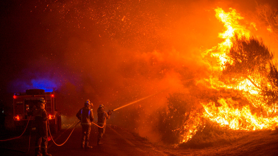 Varios bomberos forestales realizan labores de extinción en el incendio forestal de Cualedro. BRAIS LORENZO (EFE)