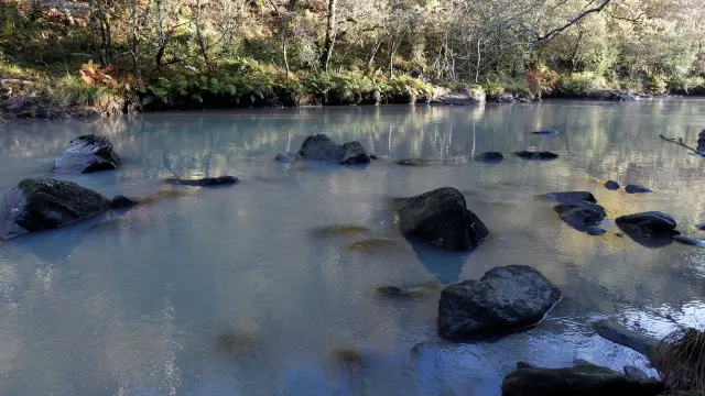 Proc/JFIF/EFE-Calidad:Excelente