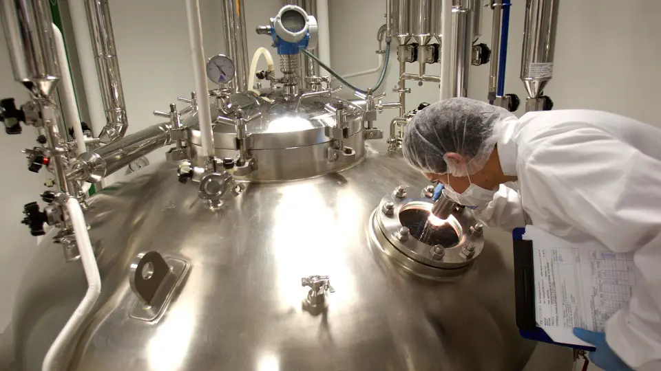 Vista del departamento de producción de Biofabri, del grupo Zendal. SALVADOR SAS (EFE)