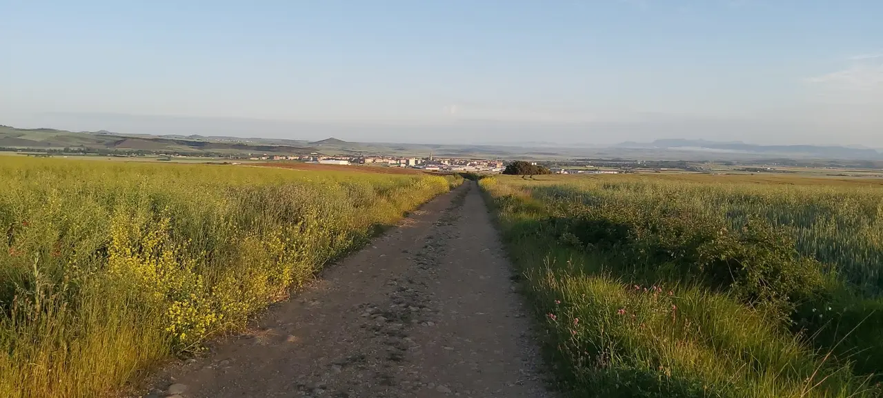Vista del Camino con Santo Domingo de la Calzada al fondo. J.L.
