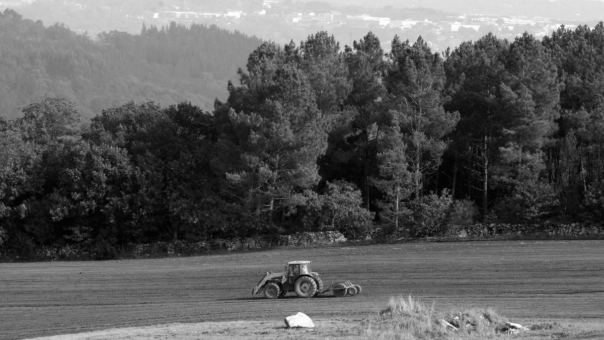 Un tractor en el campo. EFE