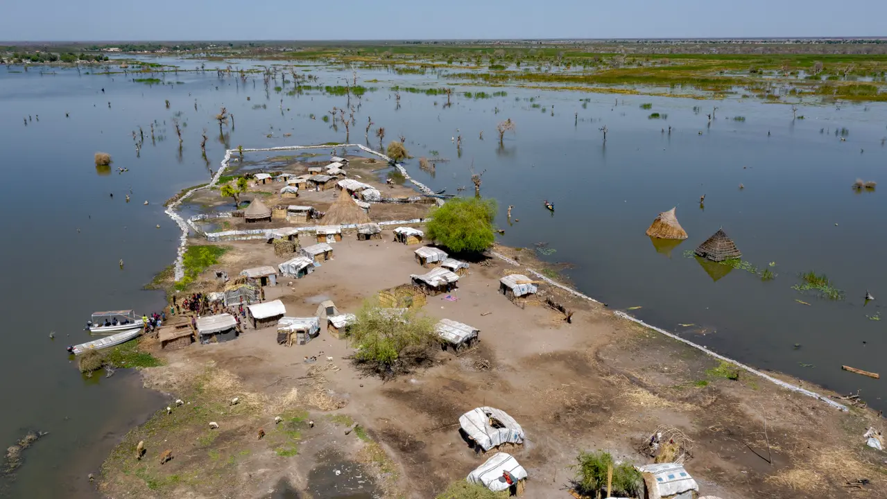 © ACNUR- Andrew McConnell