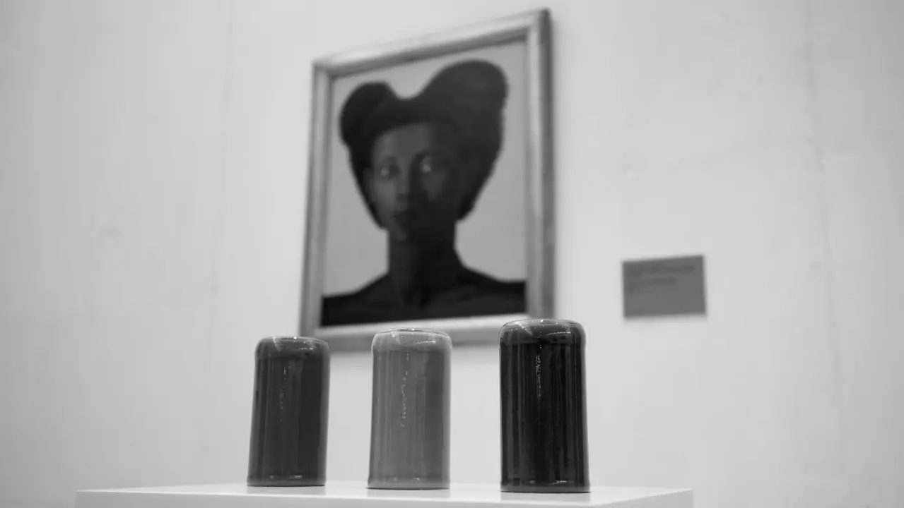 Aspecto da exposición /DIEGO FREIRE