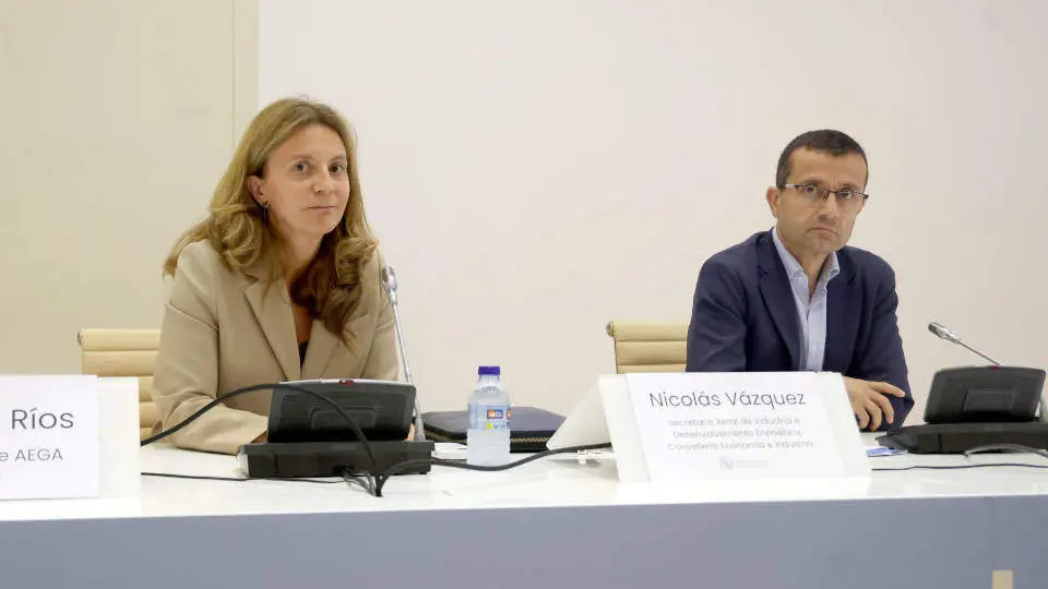 Ríos y Vázquez avisaron de que unos 5.200 ascensores pueden quedar sin servicio en Galicia. PEPE FERRÍN