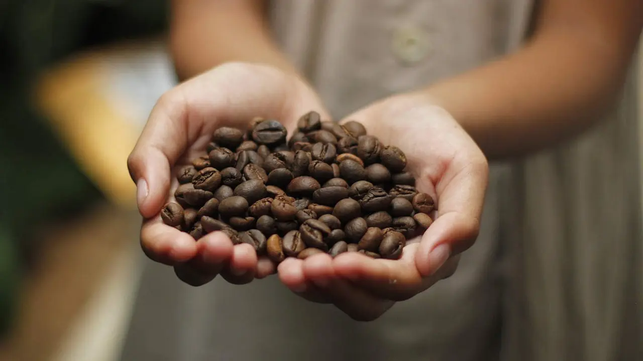 Granos de caf&eacute;. Pixabay