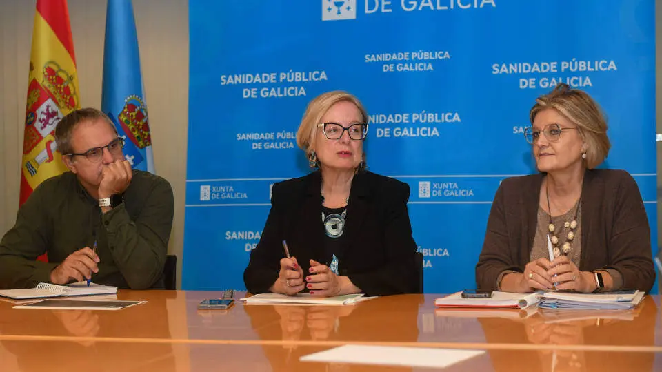 La directora de Planificación e Reforma Sanitaria encabezó la reunión del plan de cirugía menor en Atención Primaria del Sergas. EP