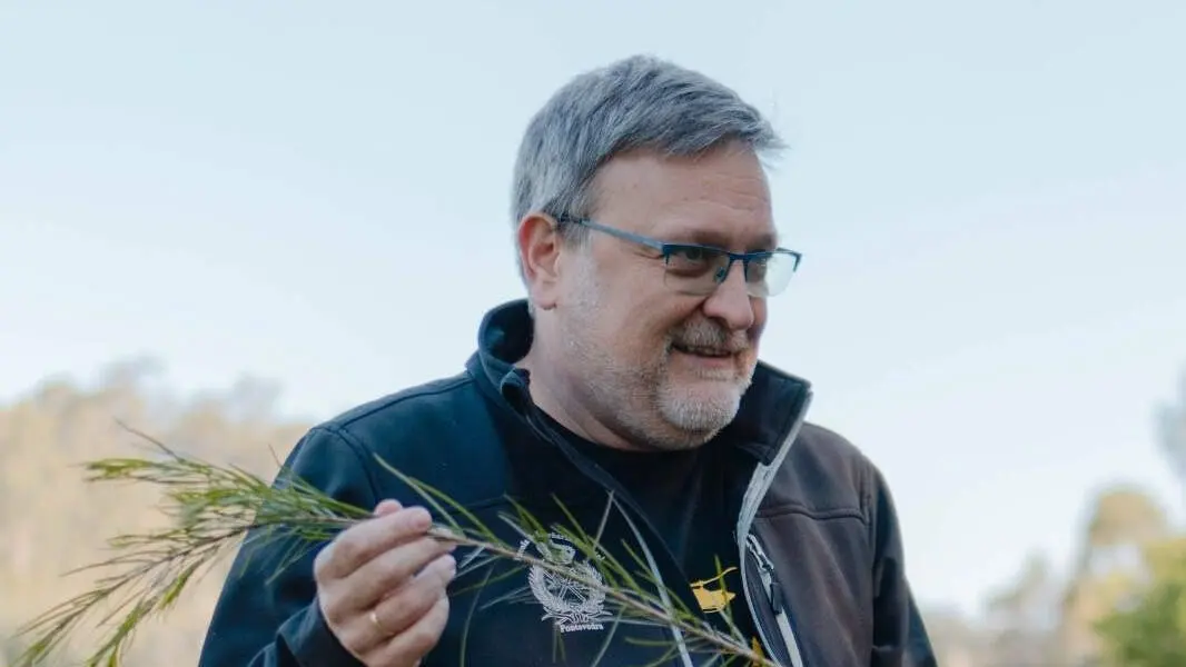 Juan Picos, profesor da Escola de Enxeñaría Forestal da UVigo. EP