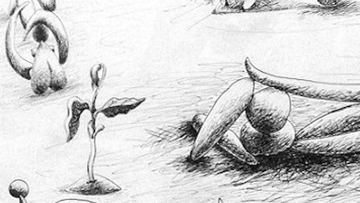 Fragmento dunha obra de Benjamín Palencia que se atopa na exposición. MARCO