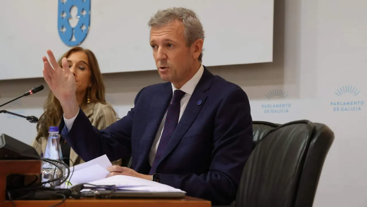Alfonso Rueda, durante la comisi&oacute;n. PEPE FERR&Iacute;N