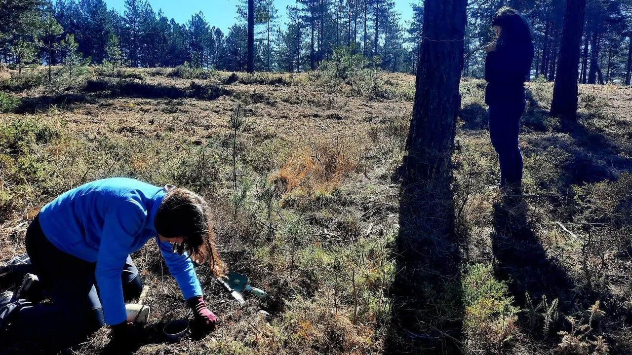 Trabajos de campo durante la investigación. UVIGO