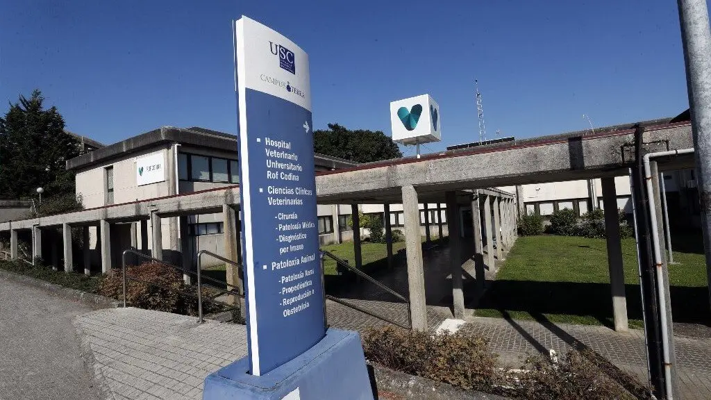 Instalaciones de la Fundación Rof Codina, en Lugo.EP