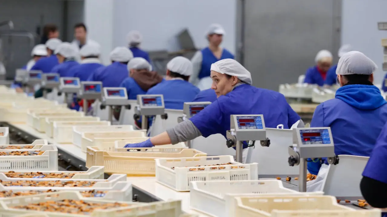Trabajadoras en una empresa conservera. AEP