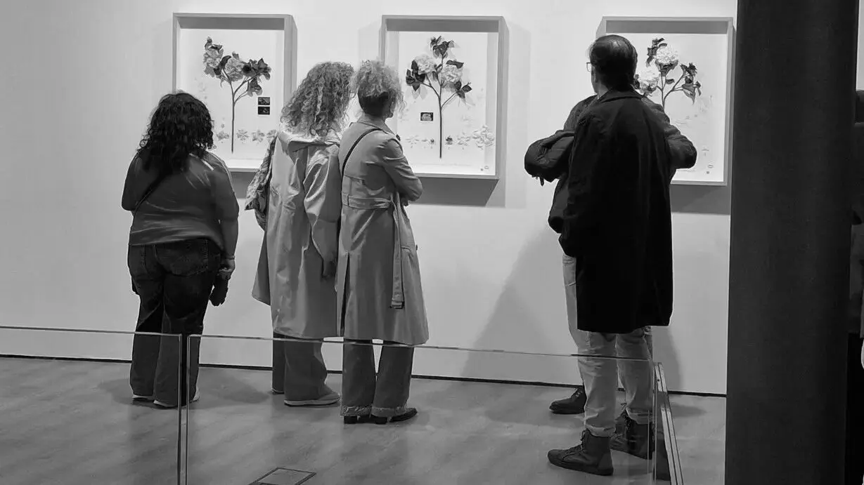 Exposición de Alberto Baraya. EP