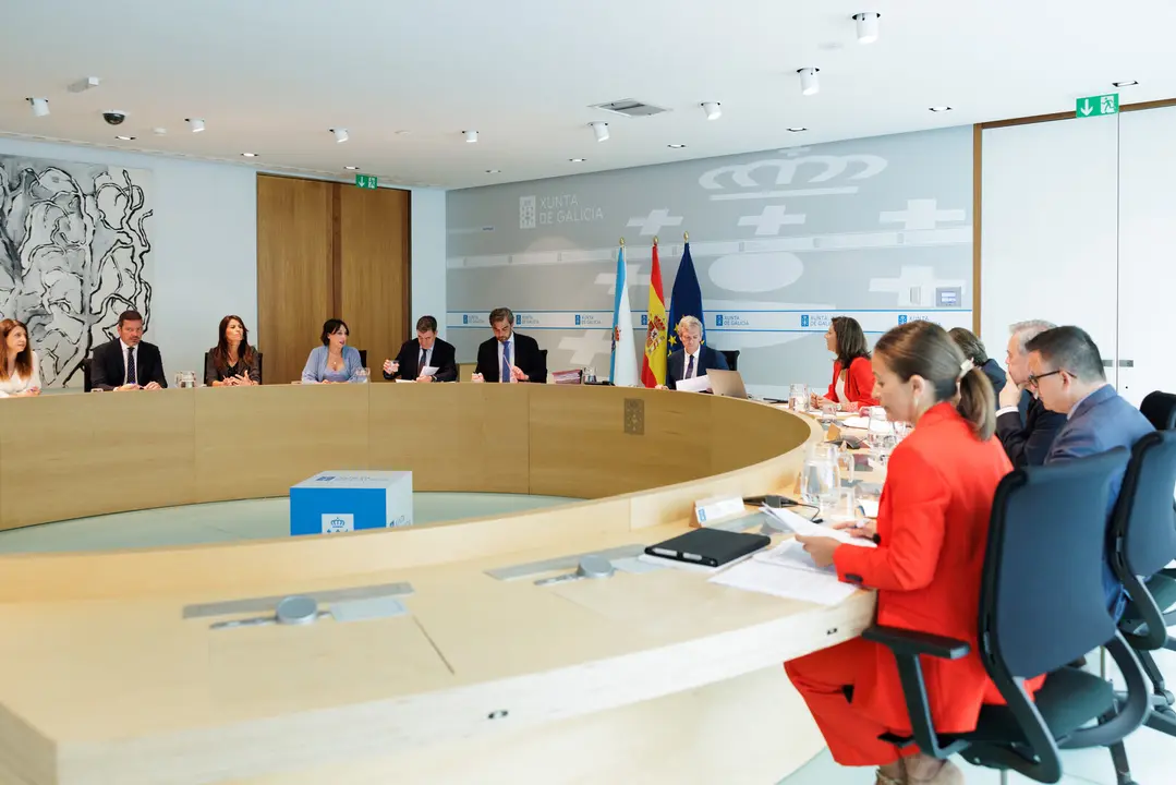 Reunión del Consello da Xunta. DAVID CABEZÓN