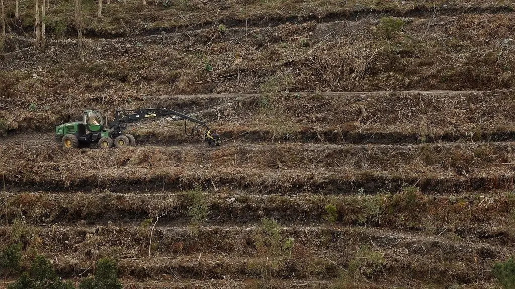 Maquinaria forestal en el monte.EP