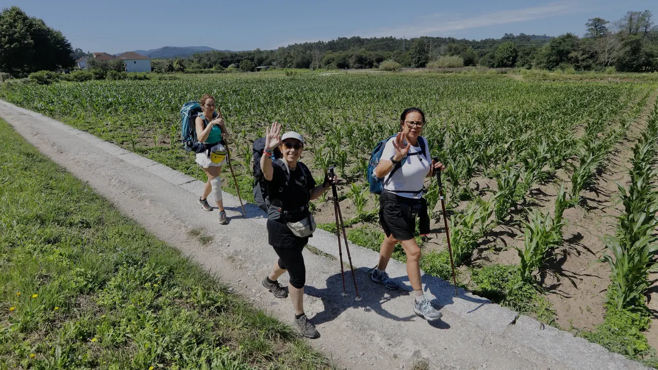 Peregrinos haciendo el Camino Portugu&eacute;s da Costa. JAVIER CERVERA-MERCADILLO