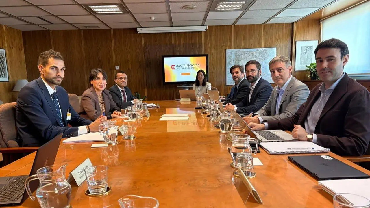 La conselleira de Economía, María Jesús Lorenzana, reunida en el secretario de Estado de Energía, Joan Groizard, y con responsables de Red Eléctrica Española. EP