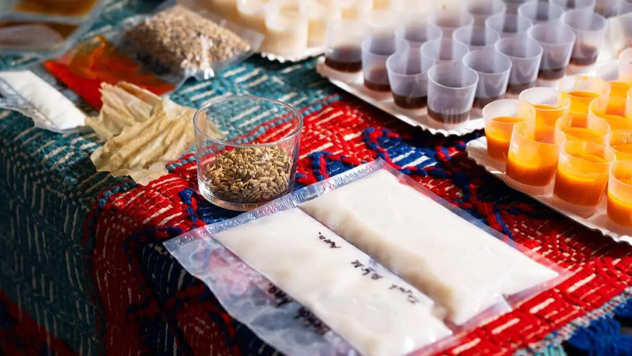 Semillas de avena negra gallega. CEDIDA