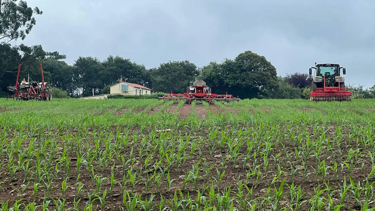 El Banco de Terras de Galicia tiene disponibles cerca de 7.000 parcelas para arrendar. EP