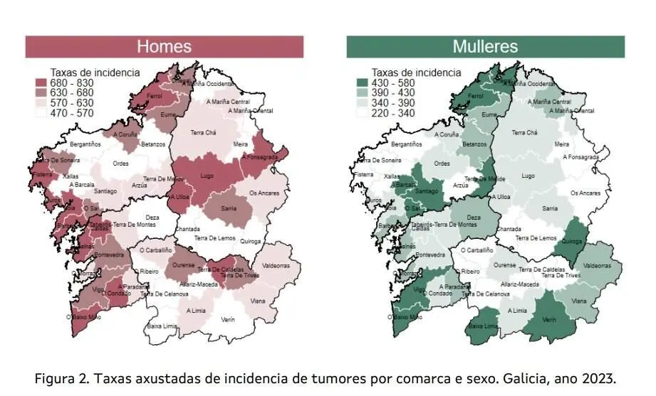 Incidencia de cáncer en función del sexo en Galicia. ep
