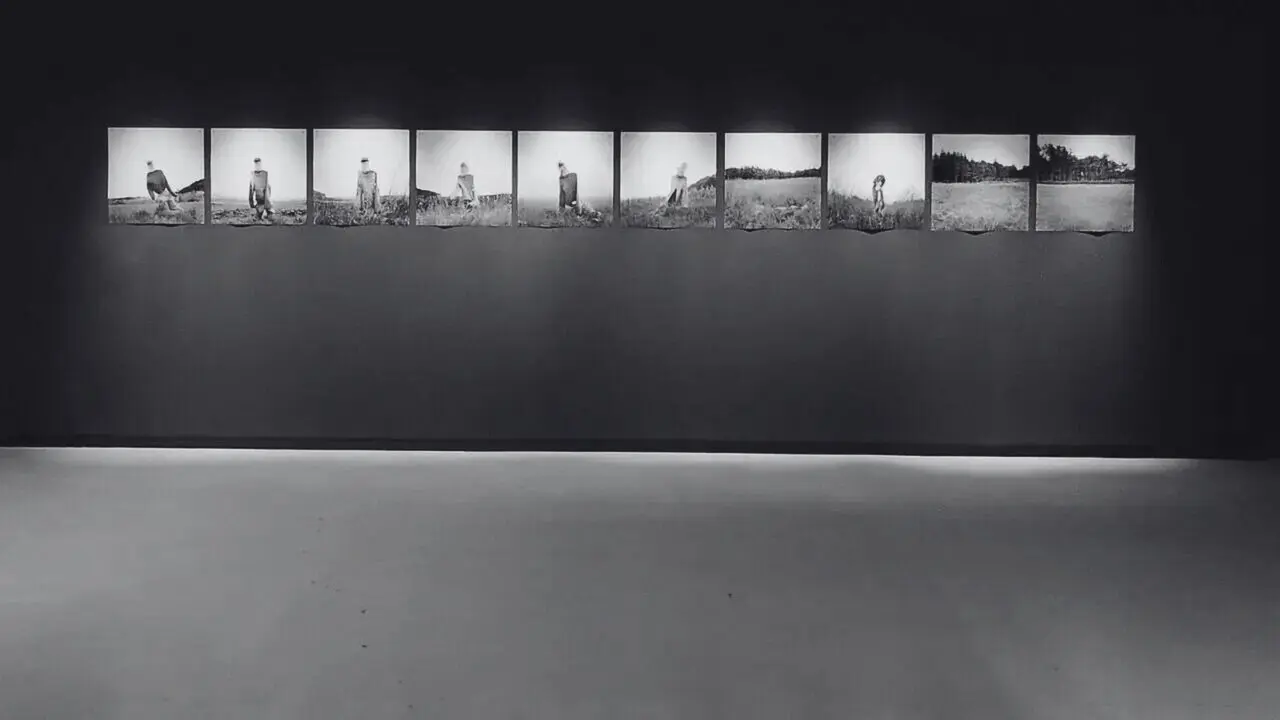 Imaxe da exposici&oacute;n /DP