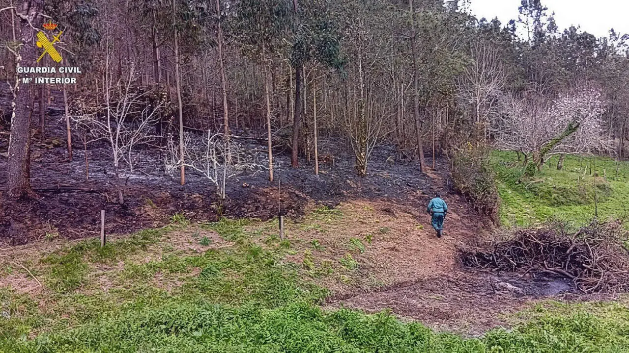 El incendio forestal de Mi&ntilde;o quem&oacute; 2.200 metros cuadrados de eucaliptos y pinos. GUARDIA CIVIL