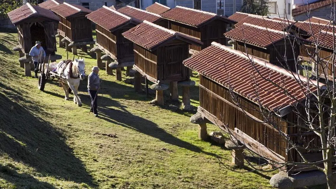 Conjunto de h&oacute;rreos en A Merca. EP