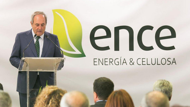 El presidente de Ence, Juan Luis Arregui, en rueda de prensa. DP