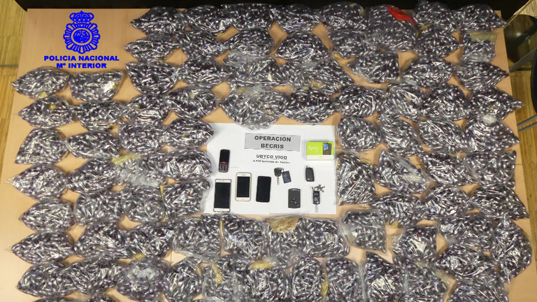 La Policía Nacional se ha incautado de 95.000 bellotas de hachís, con un peso total superior a los 100 kilos. POLICÍA NACIONAL