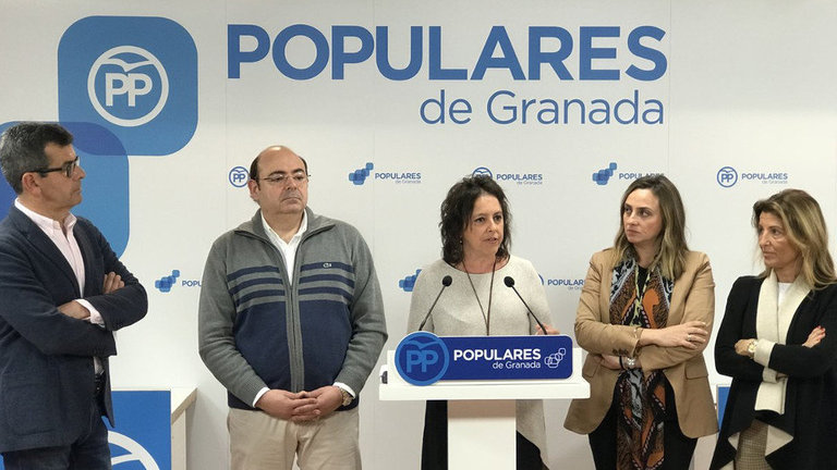 A voceira popular de Sanidade no Parlamento andaluz, Catalina García, en rolda de prensa. TWITTER
