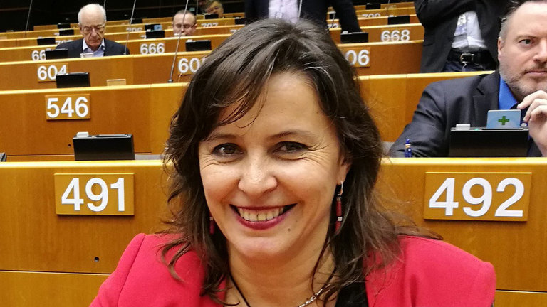 Ana Miranda, en el Parlamento europeo. ARCHIVO