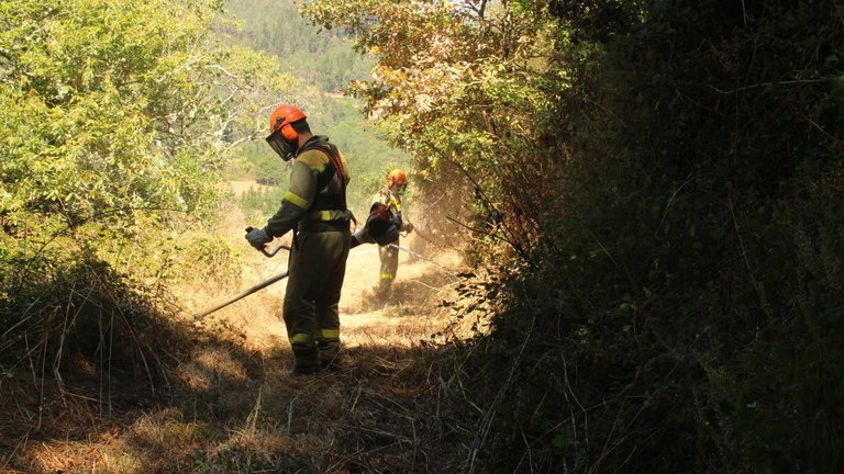 Trabajadores en labores de prevención contra los incendios forestales. AEP
