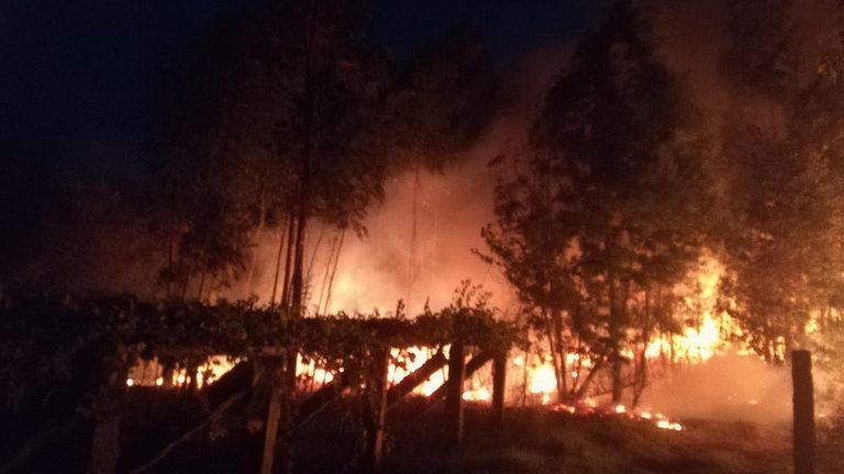 Incendio declarado en Cambados. DP