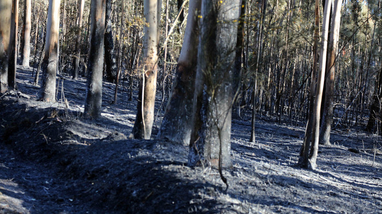 Terreno calcinado en el gran incendio de Dodro y Rianxo. LUIS POLO (AGN)