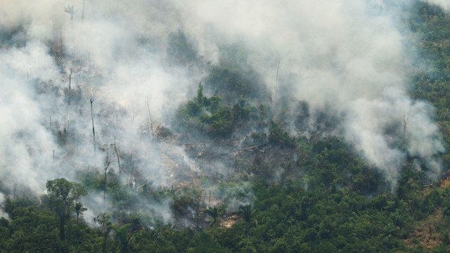 Columna de humo en la selva amazónica de Porto Velho. EFE