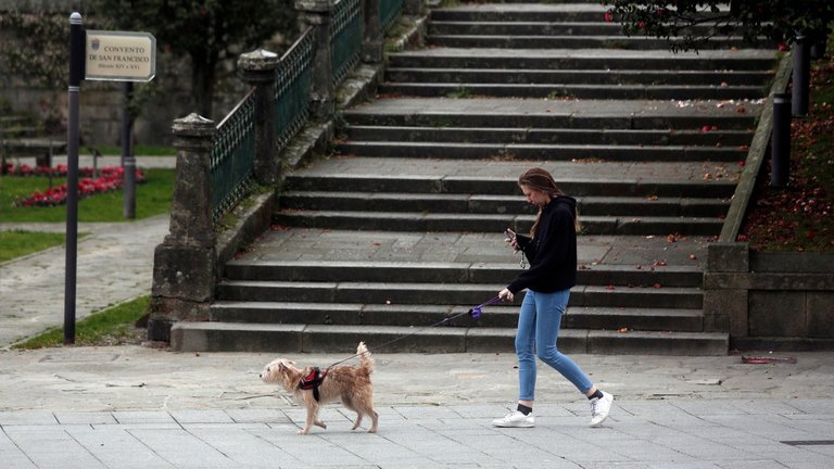 Unha moza pasea ao seu can. JAVIER CERVERA-MERCADILLO