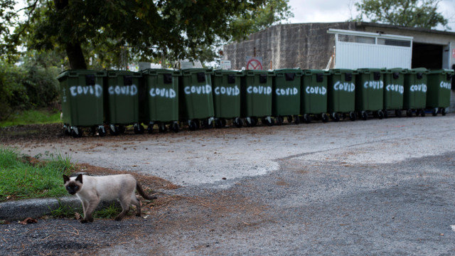 Un gato pasa xunto a unha fileira de colectores de lixo no exterior da residencia dos Gozos. BRAIS LORENZO (EFE)