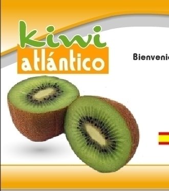 Imagen de la web de la empresa Kiwi Atlántico, con sede en Galicia