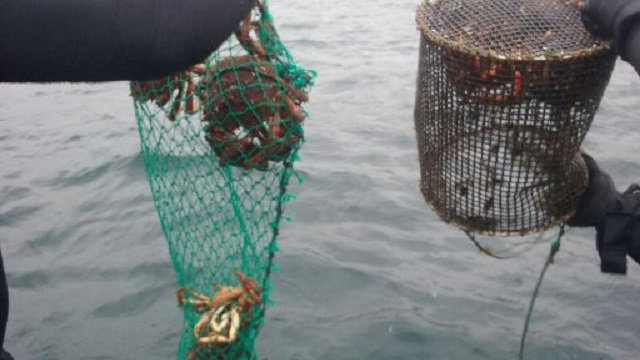 Un decomiso de marisco ilegal llevado a cabo este verano. DP