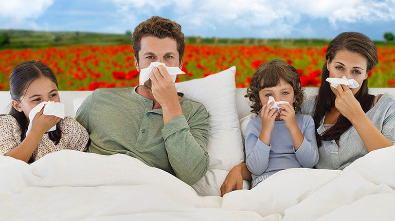 En 2030 uno de cada cuatro españoles serán alérgicos al polen. ARCHIVO