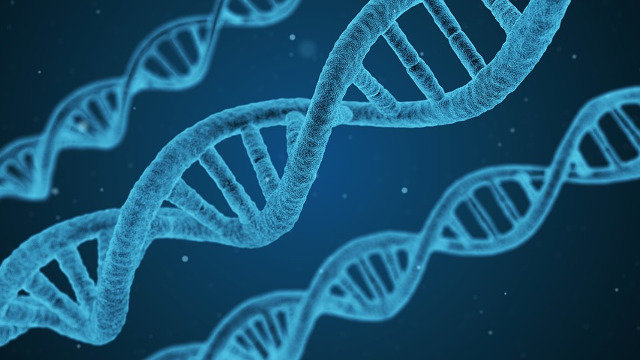 Cadena de ADN