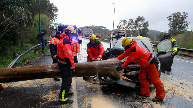 Los Bomberos de Vilagarcía retiran el árbol con el que chocó el vehículo. RAFA FARIÑA