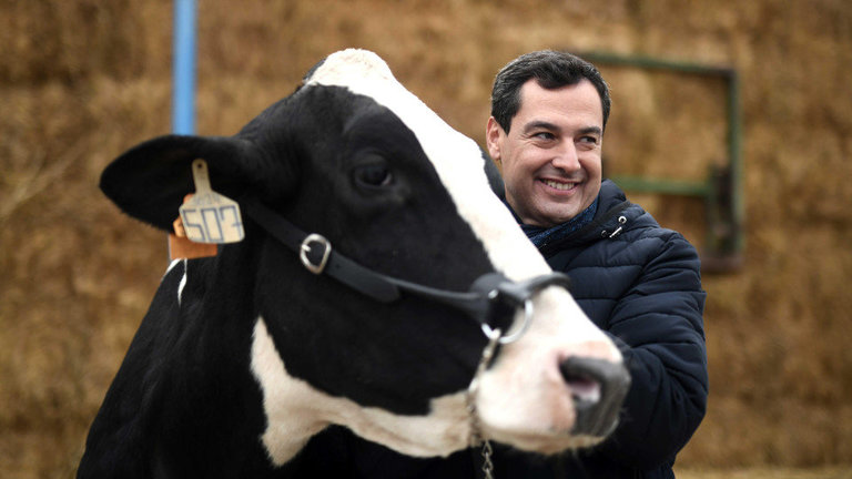 Juanma Moreno junto a una vaca. EFE