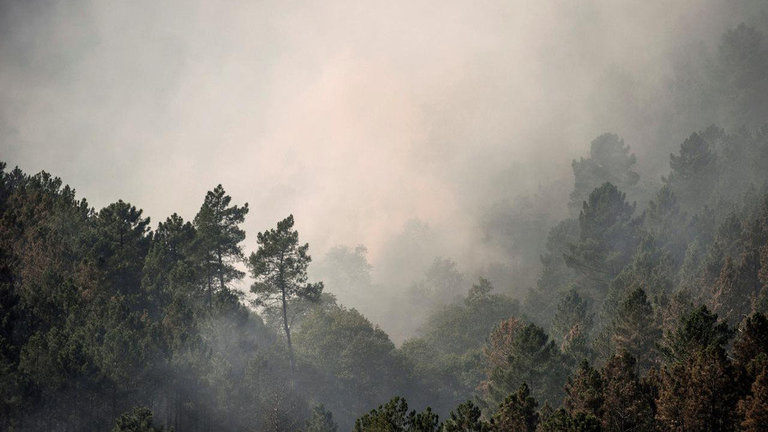 Vista de un incendio en el parque natural del Xurés. AEP