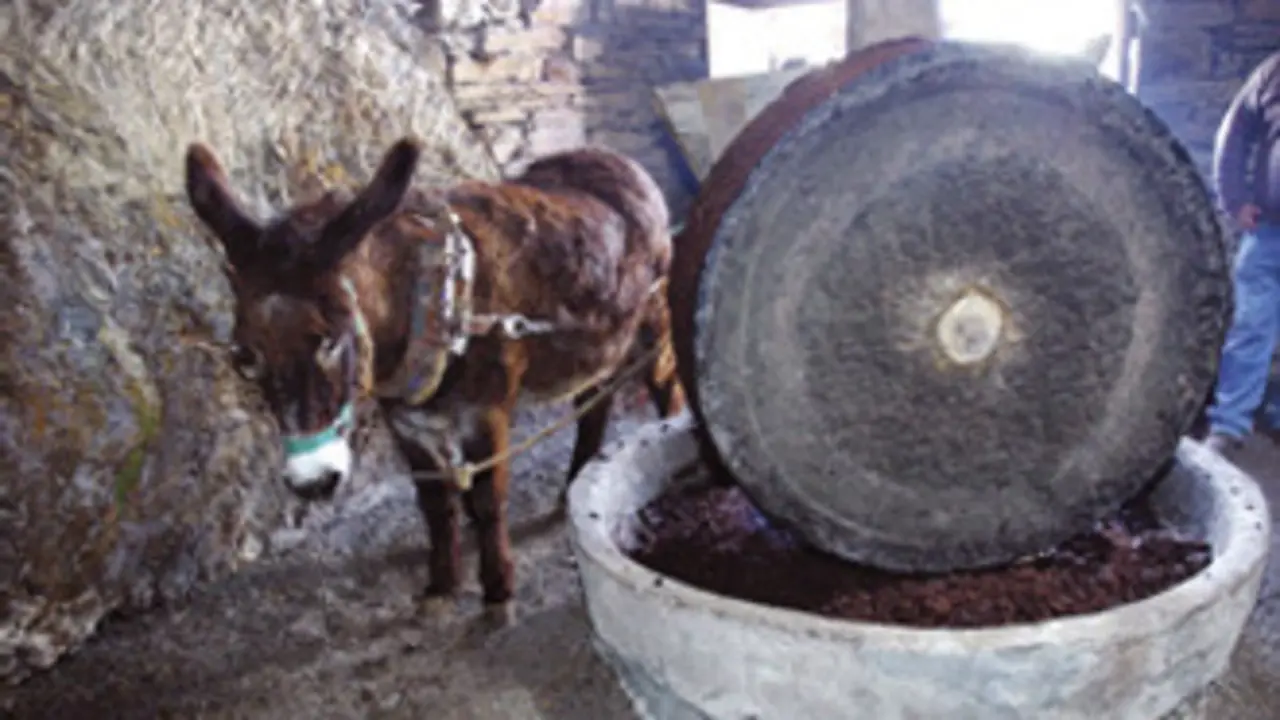 Molino de aceite en Quiroga