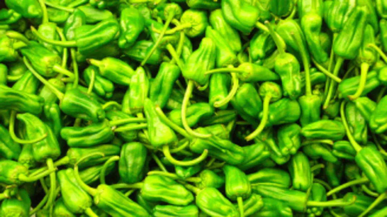 Algunos pican...(Galicia Gastronómica)