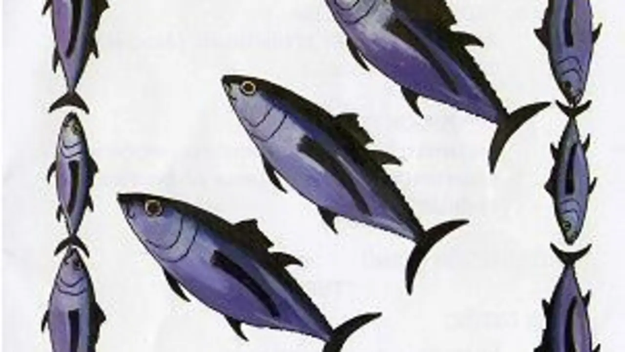 Cartel de la edición de 2007 (Galicia Gastronómica)