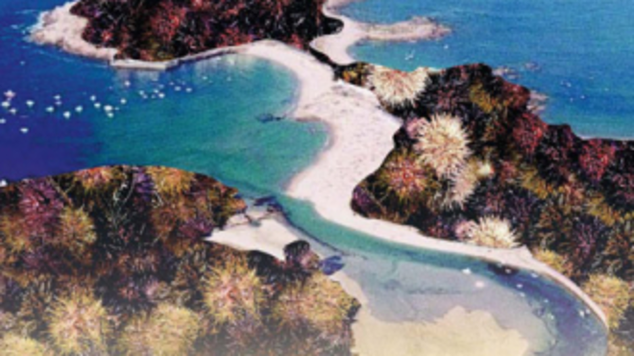 Cartel de la edición de 2007 (Galicia Gastronómica)