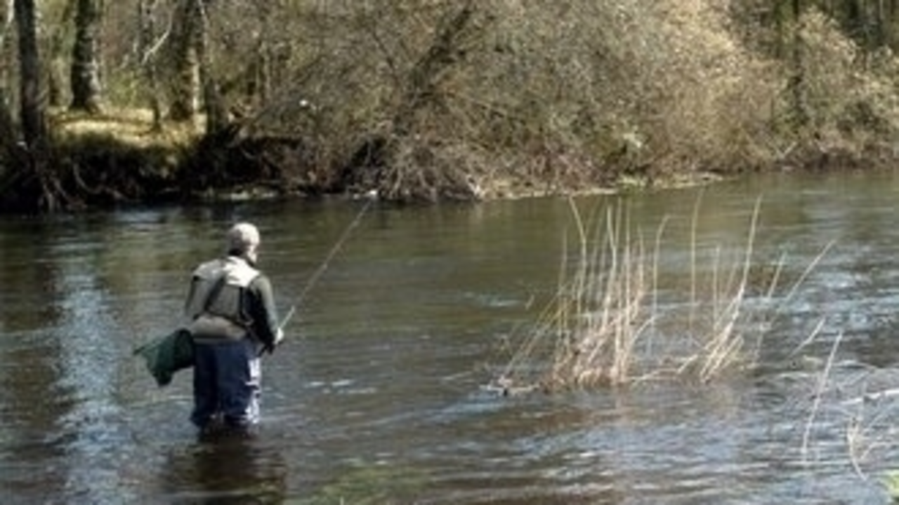 Pescador en plena faena (Galiciae)